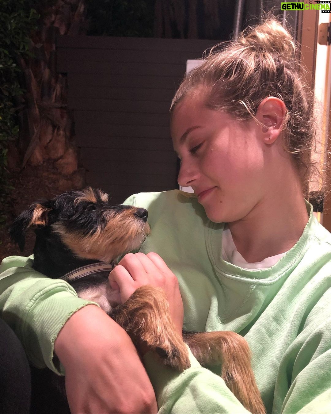 Lili Reinhart Instagram - One year ago today I took Milo home with me... and damn, I hit the jackpot. My sweet little rescue dog has been an incredible source of love for me this year and I can’t wait to keep making memories with my little man.