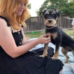 Lili Reinhart Instagram - One year ago today I took Milo home with me... and damn, I hit the jackpot. My sweet little rescue dog has been an incredible source of love for me this year and I can’t wait to keep making memories with my little man.