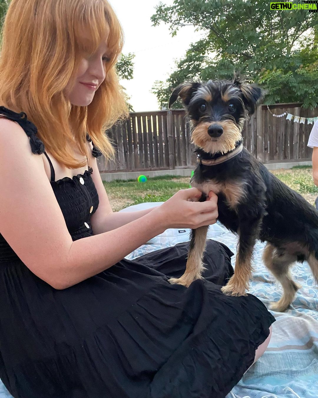 Lili Reinhart Instagram - One year ago today I took Milo home with me... and damn, I hit the jackpot. My sweet little rescue dog has been an incredible source of love for me this year and I can’t wait to keep making memories with my little man.