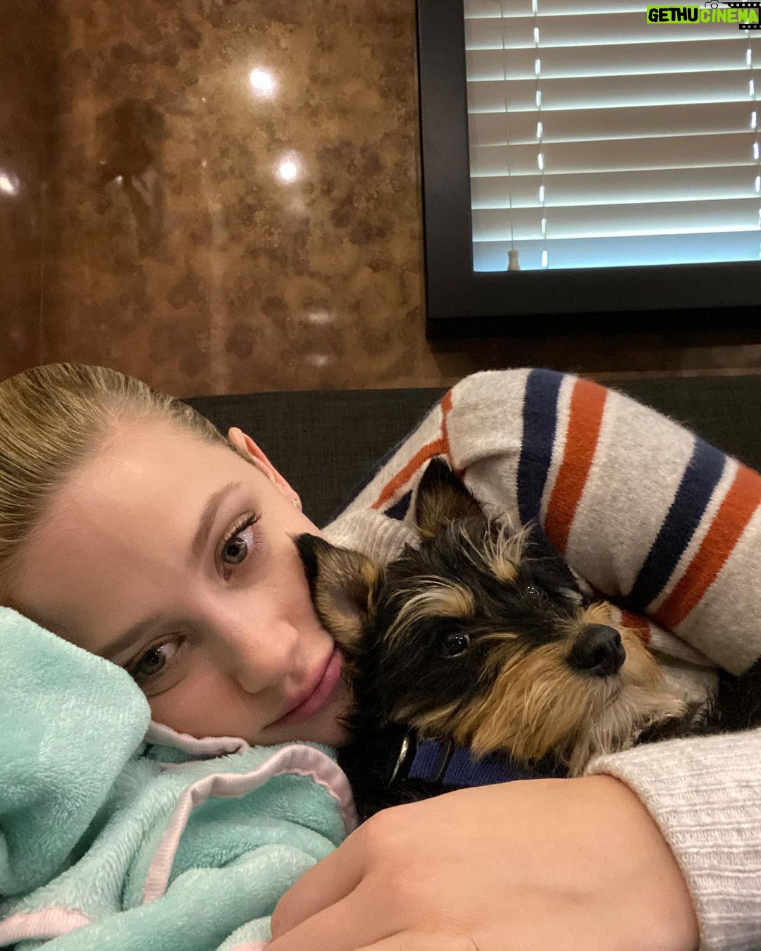 Lili Reinhart Instagram - One year ago today I took Milo home with me... and damn, I hit the jackpot. My sweet little rescue dog has been an incredible source of love for me this year and I can’t wait to keep making memories with my little man.