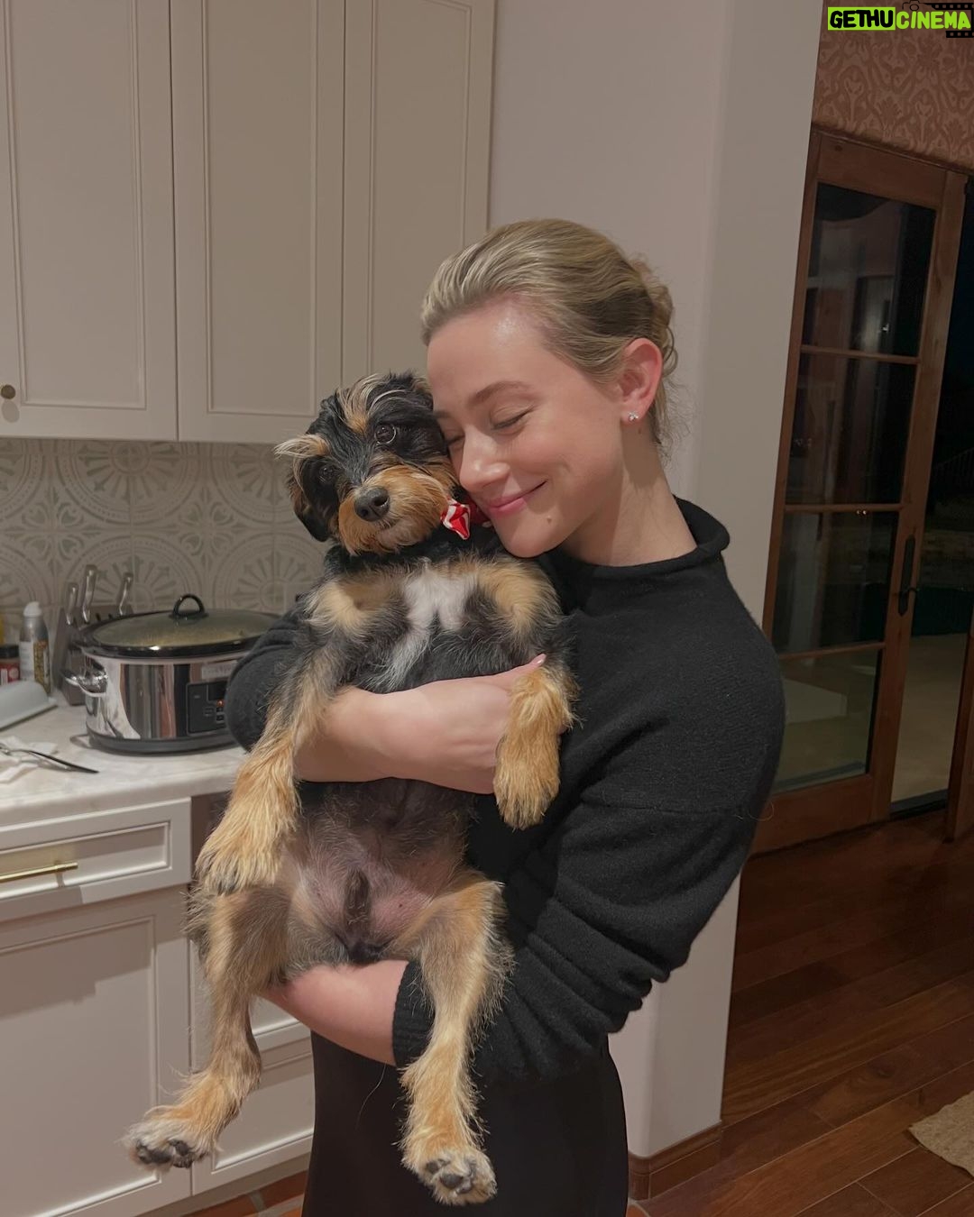 Lili Reinhart Instagram - I’m not sure I’d be here today without my Milo. Through my darkest battles with depression, he has been my angel. Here’s a gentle sign, if you’re looking for one, to rescue a dog (if you’re able to). Best decision I ever made.