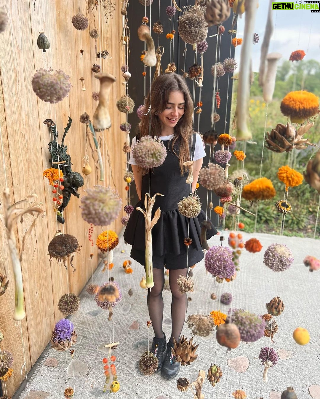 Lily Collins Instagram - Foam, flowers, friends and family. Thank you @nomacph for another magical evening for the books. The flavors, the plating, the entire production are all just purely mind-blowing. I woke up dreaming of yellow plums and bright green Danish peas…