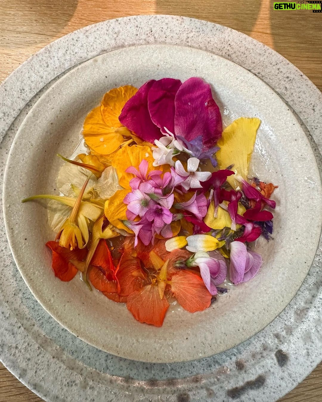 Lily Collins Instagram - Foam, flowers, friends and family. Thank you @nomacph for another magical evening for the books. The flavors, the plating, the entire production are all just purely mind-blowing. I woke up dreaming of yellow plums and bright green Danish peas…
