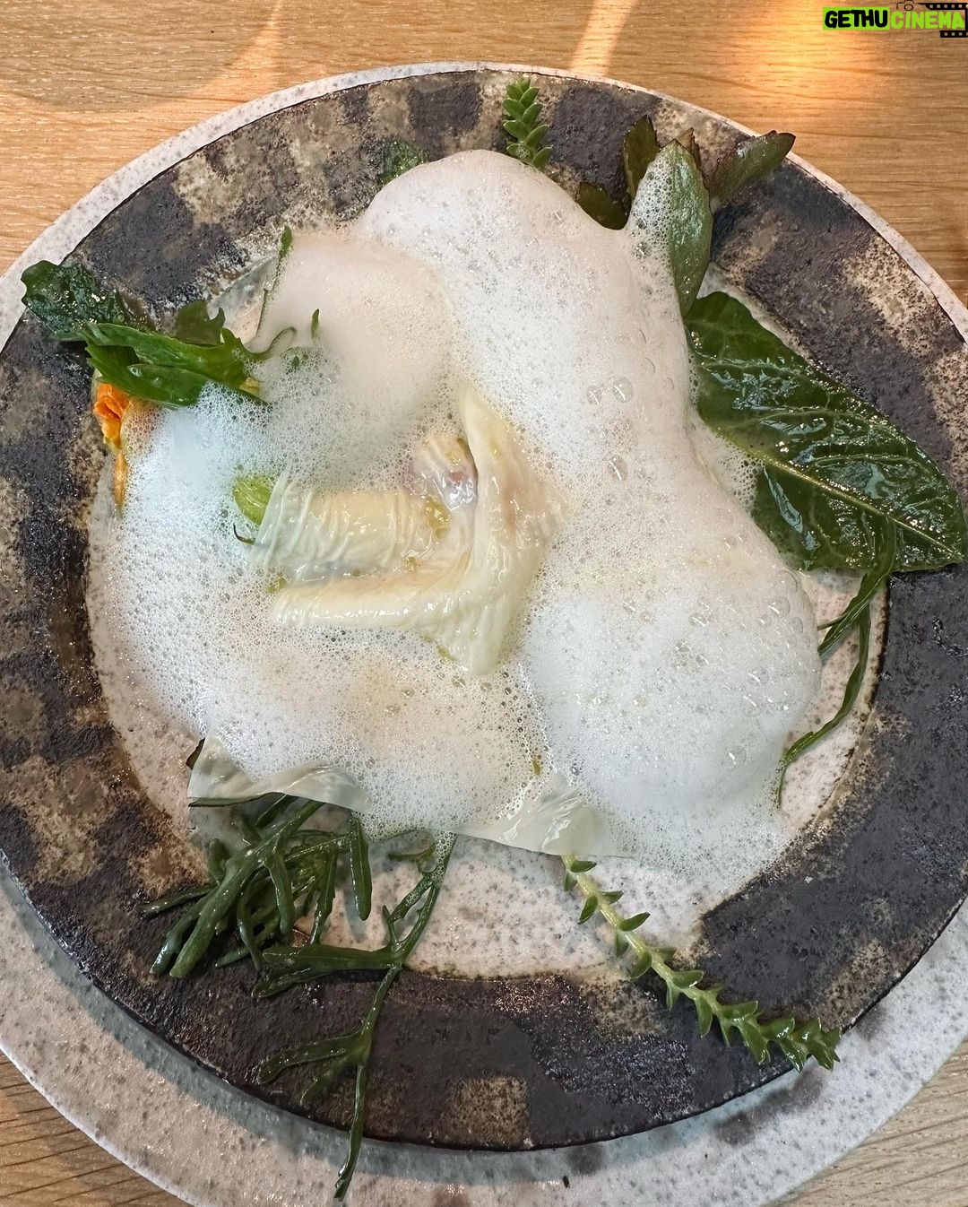 Lily Collins Instagram - Foam, flowers, friends and family. Thank you @nomacph for another magical evening for the books. The flavors, the plating, the entire production are all just purely mind-blowing. I woke up dreaming of yellow plums and bright green Danish peas…