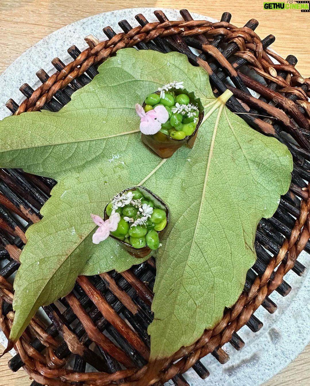 Lily Collins Instagram - Foam, flowers, friends and family. Thank you @nomacph for another magical evening for the books. The flavors, the plating, the entire production are all just purely mind-blowing. I woke up dreaming of yellow plums and bright green Danish peas…