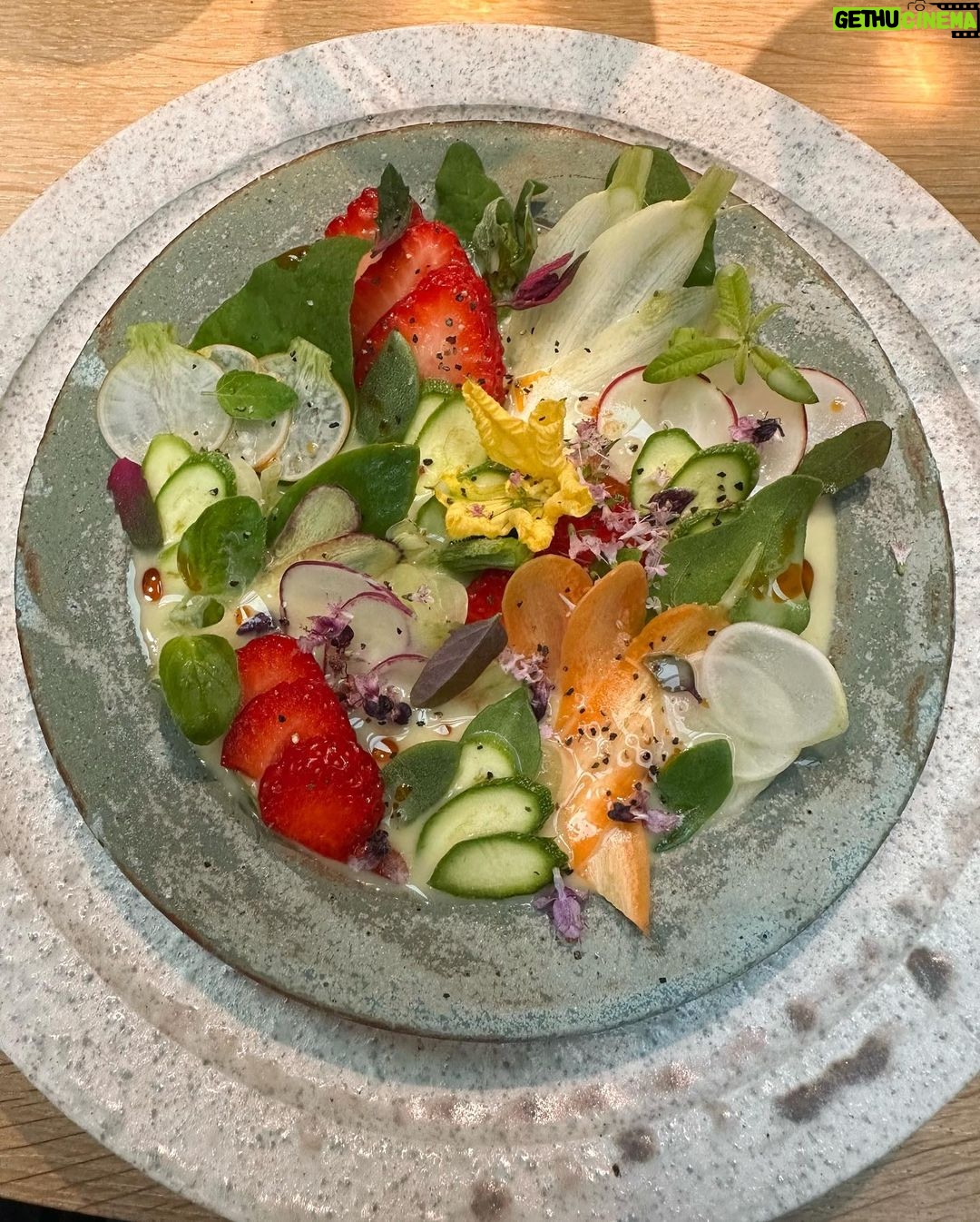 Lily Collins Instagram - Foam, flowers, friends and family. Thank you @nomacph for another magical evening for the books. The flavors, the plating, the entire production are all just purely mind-blowing. I woke up dreaming of yellow plums and bright green Danish peas…