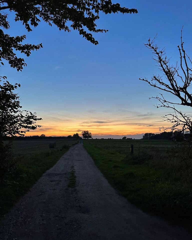 Lily Collins Instagram - Day to night in the Danish countryside…