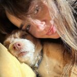 Lily Collins Instagram - Lessons in lounging courtesy of @redforddog…