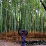 Lily Collins Instagram - Umbrellas up and spirits high in the bamboo forest…
