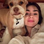 Lily Collins Instagram - Every day is National Pet Day in this household…