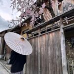 Lily Collins Instagram - Sakura season…