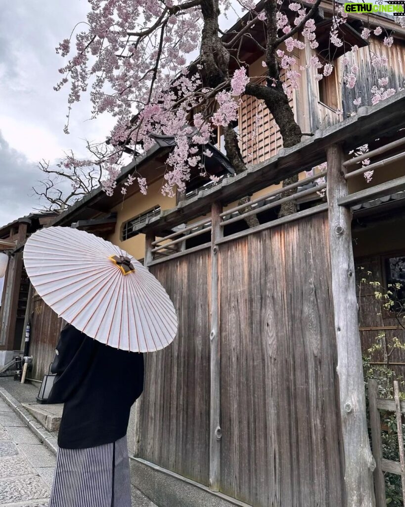 Lily Collins Instagram - Sakura season…