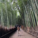 Lily Collins Instagram - Umbrellas up and spirits high in the bamboo forest…