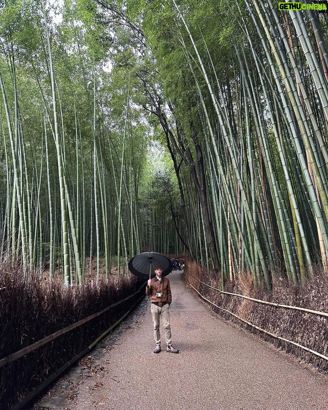 Lily Collins Instagram - Umbrellas up and spirits high in the bamboo forest…