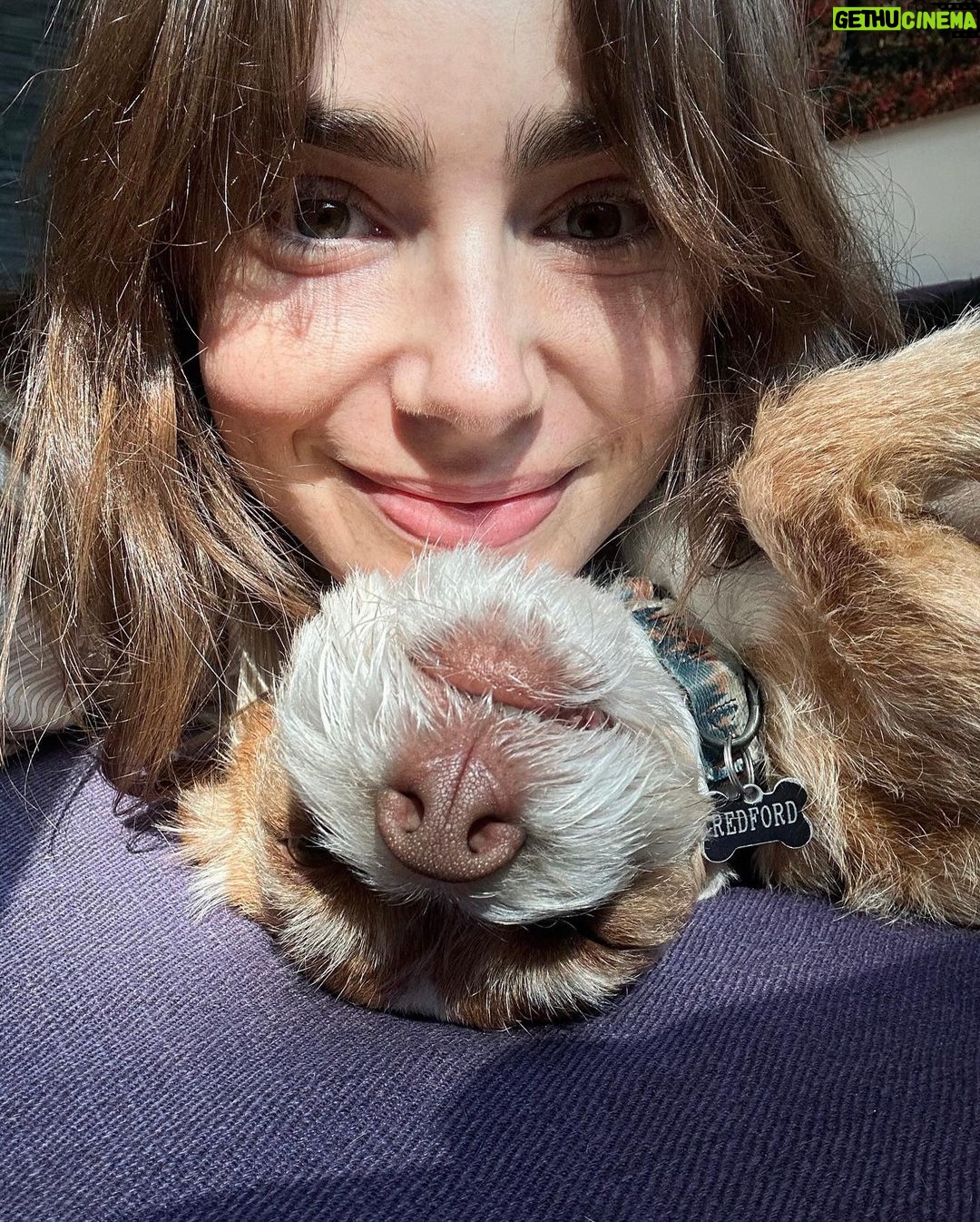 Lily Collins Instagram - Lessons in lounging courtesy of @redforddog…