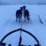 Lily Collins Instagram - Snow, saunas, and sleigh rides in a Swedish winter wonderland. A weekend of memories with friends that will last far beyond… Ice hotel, Jukkasjärvi, Sweden