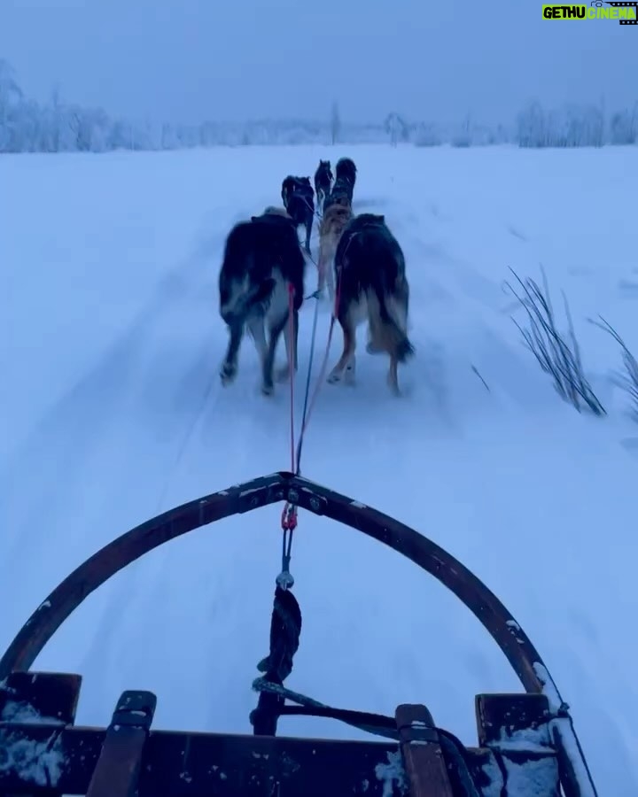 Lily Collins Instagram - Snow, saunas, and sleigh rides in a Swedish winter wonderland. A weekend of memories with friends that will last far beyond… Ice hotel, Jukkasjärvi, Sweden