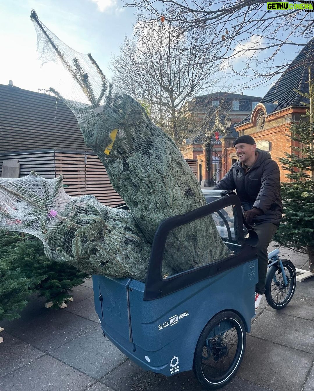Lily Collins Instagram - Making a list and checking it twice — Christmas trees and decorations secured!…