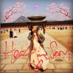 Lily Cowles Instagram - 고맙습니다 Seoul ❤️ 서울 - Seoul