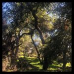 Lily Cowles Instagram - The Legend of Ashitaka Trippett Ranch