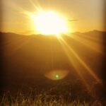 Lily Cowles Instagram - Palavras Repetidas Topanga, California