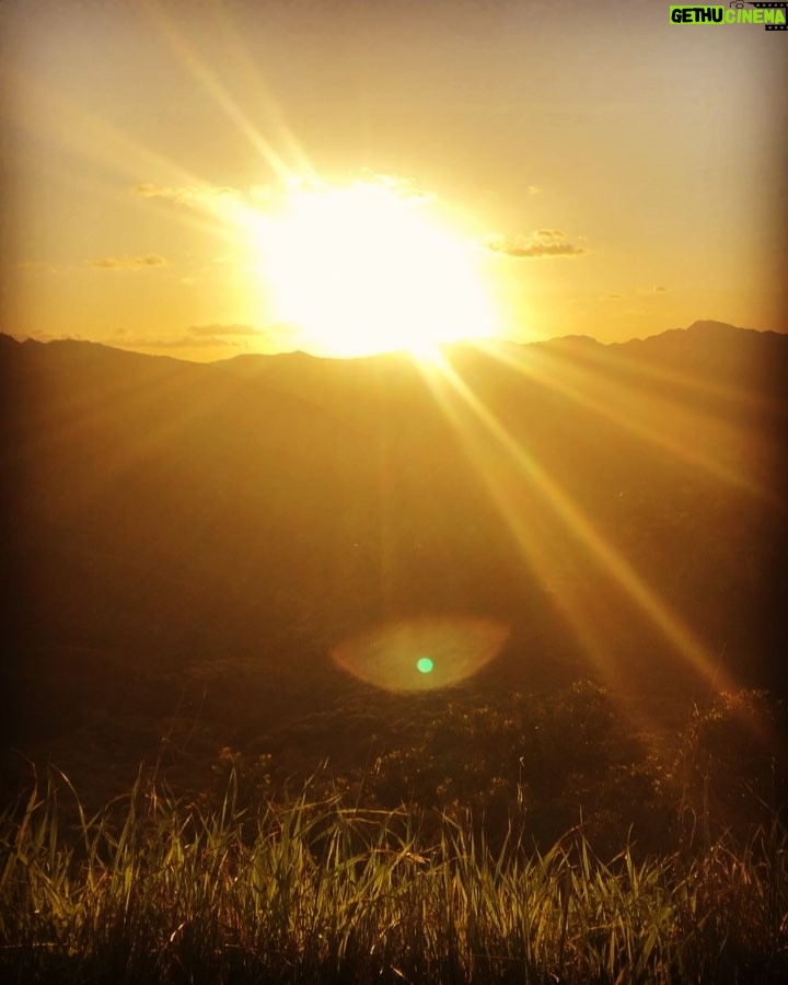 Lily Cowles Instagram - Palavras Repetidas Topanga, California