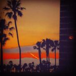 Lily Cowles Instagram – A Sign of the Times #nodirectionhome