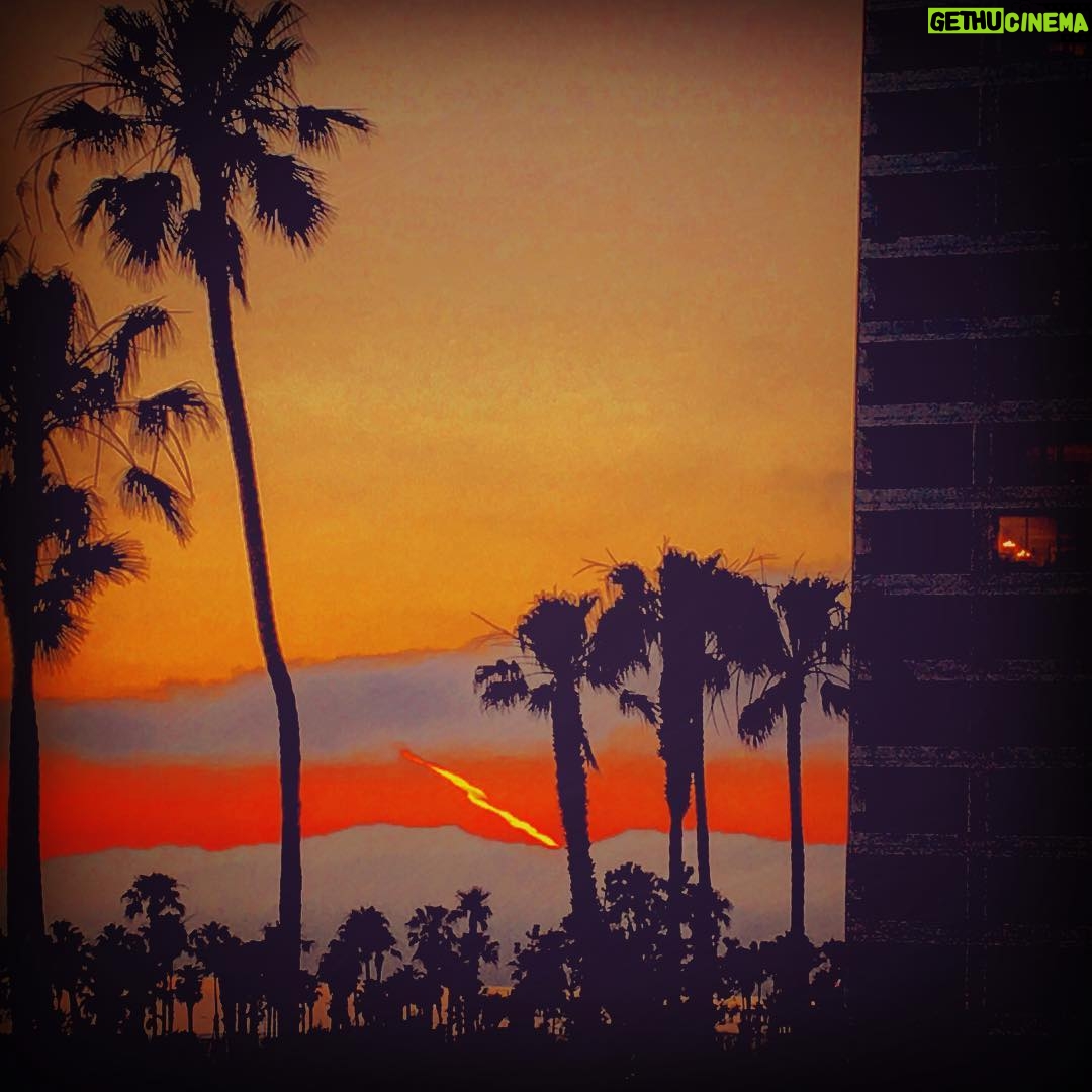 Lily Cowles Instagram - A Sign of the Times #nodirectionhome