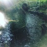 Lily Cowles Instagram - dip dip dive