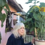 Lily Cowles Instagram - ¡viva la mama!
