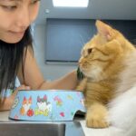 Lily Gao Instagram - 1 Barbie 2 His name is Fried Egg 荷包蛋 3 He is a rescue 4 Wuzhen 5 Muxin’s backyard 6 BARBIE 7 Natural 8 Highlights 9 You already know