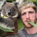 Logan Paul Instagram - aussie aussie aussie Sydney, Australia