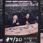 Logan Paul Instagram - This is for the stoners… #4 /20 CHEECH & CHONG SOLD for 12 Eth ($24.5k USD) Perks: - Holder receives NFT & physical 1/1 Polaroid - 1/99 Membership & Voting Right in Originals DAO The Godfathers of marijuana, Cheech Marin and Tommy Chong, share stories about their prolific film and media careers while rolling joints at an indoor Cannabis facility. originals.com (bid here, link in bio)