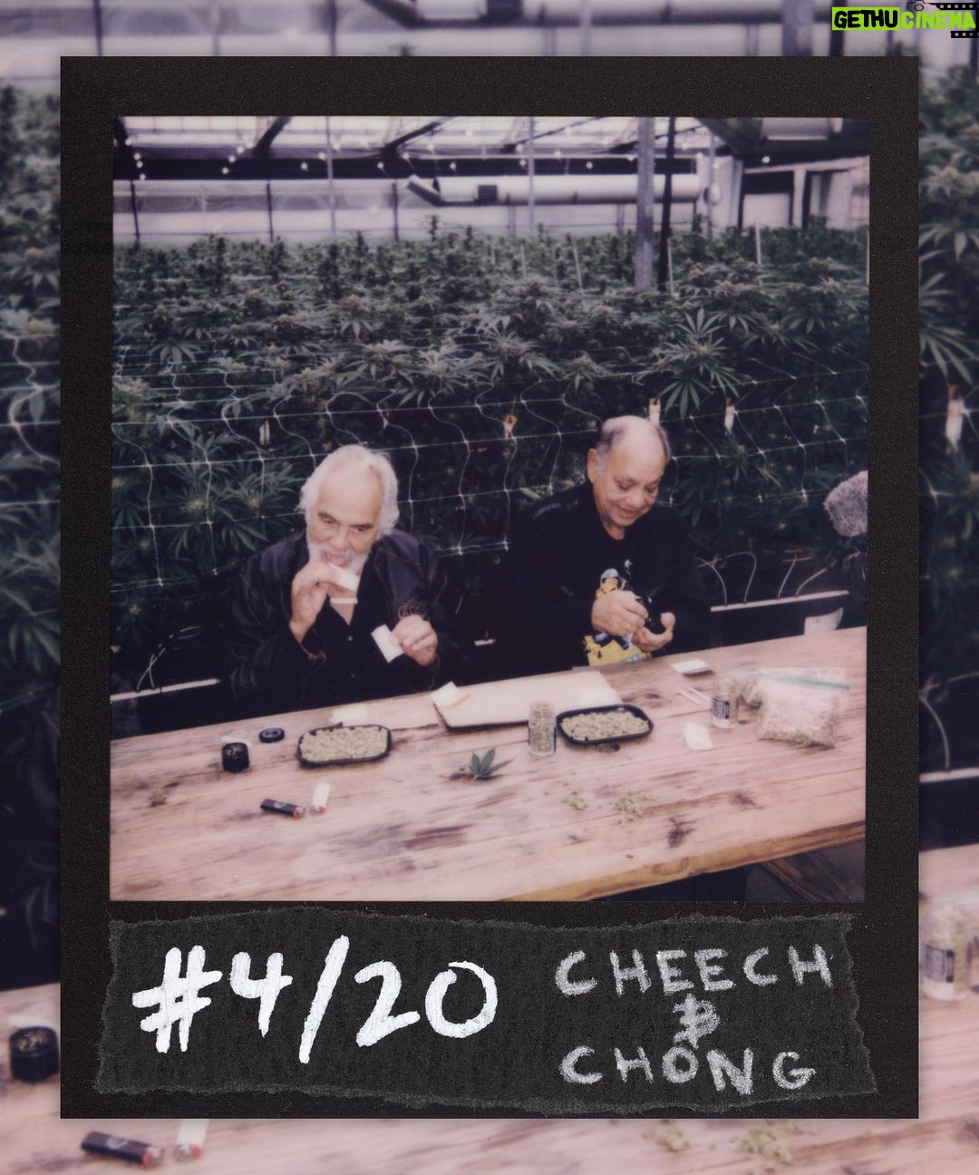 Logan Paul Instagram - This is for the stoners… #4 /20 CHEECH & CHONG SOLD for 12 Eth ($24.5k USD) Perks: - Holder receives NFT & physical 1/1 Polaroid - 1/99 Membership & Voting Right in Originals DAO The Godfathers of marijuana, Cheech Marin and Tommy Chong, share stories about their prolific film and media careers while rolling joints at an indoor Cannabis facility. originals.com (bid here, link in bio)