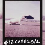 Logan Paul Instagram - #92 CANNIBAL SOLD for 13 Eth ($26k USD) Perks: - Holder receives NFT & physical 1/1 Polaroid - 1/99 Membership & Voting Right in Originals DAO “Albino alligators are extremely rare. Biologists estimate there are only about 100 existing in the world. They are the offspring of parents that carry the recessive gene for albinism, meaning they do not have the ability to create melanin to color their skin or eyes.” We took over 100 Polaroids today, and there are only 2/3 that I like. This work is occasionally just a numbers game... (to be continued) originals.com (bid here, link in bio)