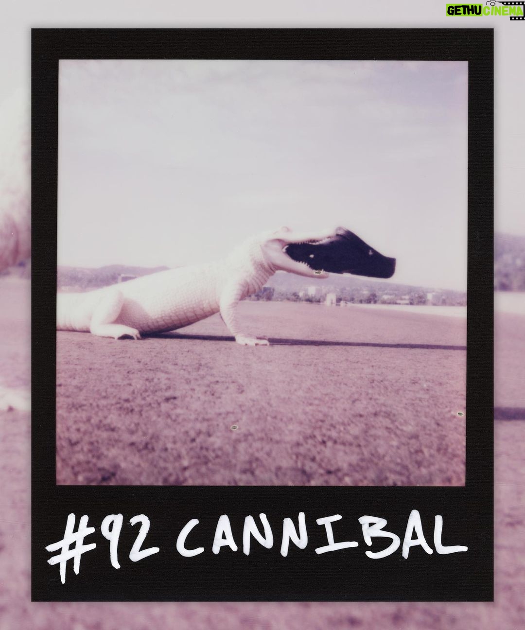 Logan Paul Instagram - #92 CANNIBAL SOLD for 13 Eth ($26k USD) Perks: - Holder receives NFT & physical 1/1 Polaroid - 1/99 Membership & Voting Right in Originals DAO “Albino alligators are extremely rare. Biologists estimate there are only about 100 existing in the world. They are the offspring of parents that carry the recessive gene for albinism, meaning they do not have the ability to create melanin to color their skin or eyes.” We took over 100 Polaroids today, and there are only 2/3 that I like. This work is occasionally just a numbers game... (to be continued) originals.com (bid here, link in bio)