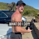 Logan Paul Instagram – wtf just happened @drinkprime Cape Town, South Africa