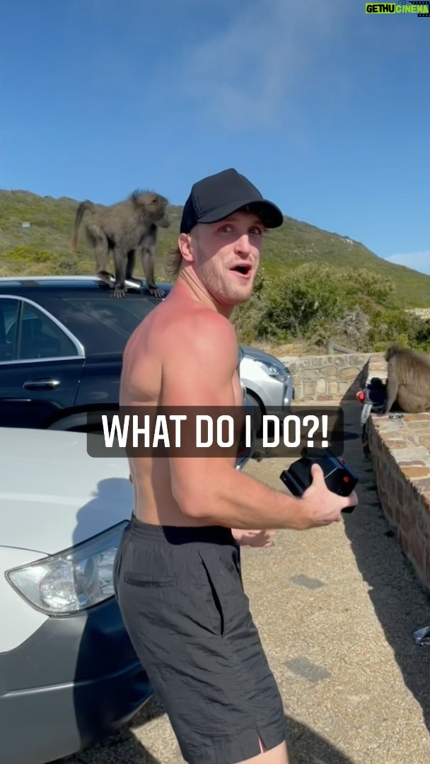 Logan Paul Instagram - wtf just happened @drinkprime Cape Town, South Africa