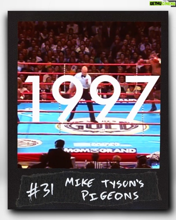 Logan Paul Instagram - Featuring @MikeTyson in @99originals #31 Mike Tyson’s Pigeons SOLD for 22 Eth ($44k USD) Perks: - Holder receives NFT & physical 1/1 Polaroid - 1/99 Membership & Voting Right in Originals DAO “Mike Tyson plays with his pigeons outside his home in Las Vegas.” originals.com (bid here, link in bio)