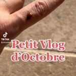 Lorie Pester Instagram – Petit VLOG musical d’octobre. #vlog #octobre #halloween #costume #plage #venise #paysbasque #paris