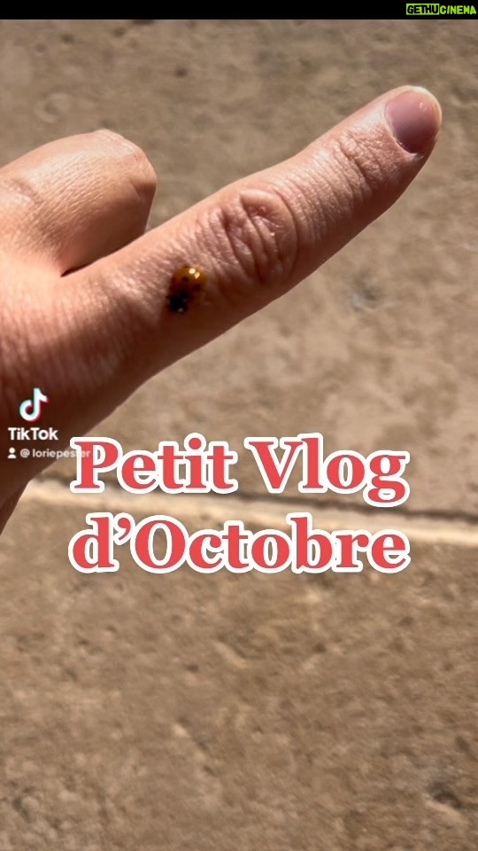 Lorie Pester Instagram - Petit VLOG musical d’octobre. #vlog #octobre #halloween #costume #plage #venise #paysbasque #paris