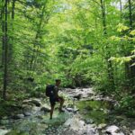 Louis-Philippe Pelletier Instagram - J’aime la vie,la bouffe et mes frères ! Pensez moins et vivez plus ❤️🦍 Parc d'Environnement Naturel de Sutton (P.E.N.S)