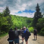 Louis-Philippe Pelletier Instagram - J’aime la vie,la bouffe et mes frères ! Pensez moins et vivez plus ❤️🦍 Parc d'Environnement Naturel de Sutton (P.E.N.S)