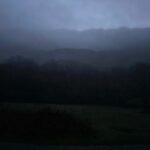 Louise Brealey Instagram – The road trip is almost done. I have found my way back to the valley, to Charlotte.
Today, a golden November day in Gwynedd, we walked up the hill behind Buarthau, putting our feet into hoof marks from the herd of cows who were brought down for winter last week.
Gilbert had a fight with some dead bracken. His little face has two bright red stripes on it. He looks like Adam Ant, or Action Man.
This was the valley at seven this morning before the fog lifted.
Right. Time to light the fire. Nant Gwynant