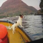 Louise Brealey Instagram – An unusual Live.
Chapter Five of Moominvalley in November. Featuring Glasgow John loudly washing up, Frosty the Jack Russell, Sam’s feet and Gilbert.
With viewers from Iran, Pakistan, Brazil, Bavaria, Idaho, Hong Kong and Milan. Shieldaig, Loch Torridon
