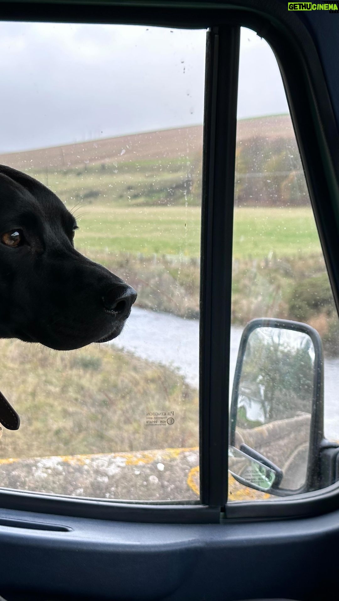 Louise Brealey Instagram - Gilbert watching crows. Lots of people have been incredibly kind and gone way out of their way to help me and Gibbers to do this journey. Some ‘this trip wouldn’t have been possible withouts’… Piers, who made sure the gas and electrics weren’t going to kill me and dresses up as Batman on the weekends. Trevor and his trusty blue rope - thanks for shaving off a bit of tree and gently yanking me out of a mud bath in Warkworth. Dave, from the tiny fishing harbour of Eyemouth, who made the van doors close again. Can someone please buy his garage, as he wants to retire? Beth, whose family-run company @fuellagoon makes thermal covers for camper windows, even geriatric Leyland Daf Convoy ex-minibuses, and who sewed them for me at the very last minute, because everything was very last minute. Big Steve near Eyam, who rebolted the lever thing that lifts the bonnet up and let Chris play catch with Ted the coolest Jack Russel we’d ever met. And finally, If you have a van - or are converting one, go to the brilliant, brilliant guys at @autoterm.store who sell and fit the toughest van heaters in the metaverse. I think they were designed for Latvian tanks and Dolly was a frozen shell until that heater went in. Now me and Gilb are warm as toast in the three seconds before toast goes cold. It’s made her into a room, a place to sit out storms. Like yesterday’s, on a blasted headland. It rocked us like we were in a boat on big seas. I probably shouldn’t have googled ‘can campingvans tip over in the wind’. Thank you all so much. Gifford, East Lothian