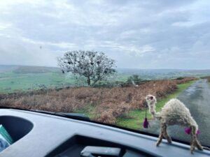 Louise Brealey Instagram - When I took this photo I panicked for a split second that there was a sheep on my bonnet. 
#omar #dollyontour #dollyontheroad