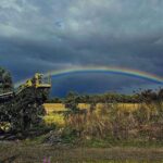 Louise Brealey Instagram - A very rare shot of a rainbow being painted - from the train, somewhere in Northumberland.
