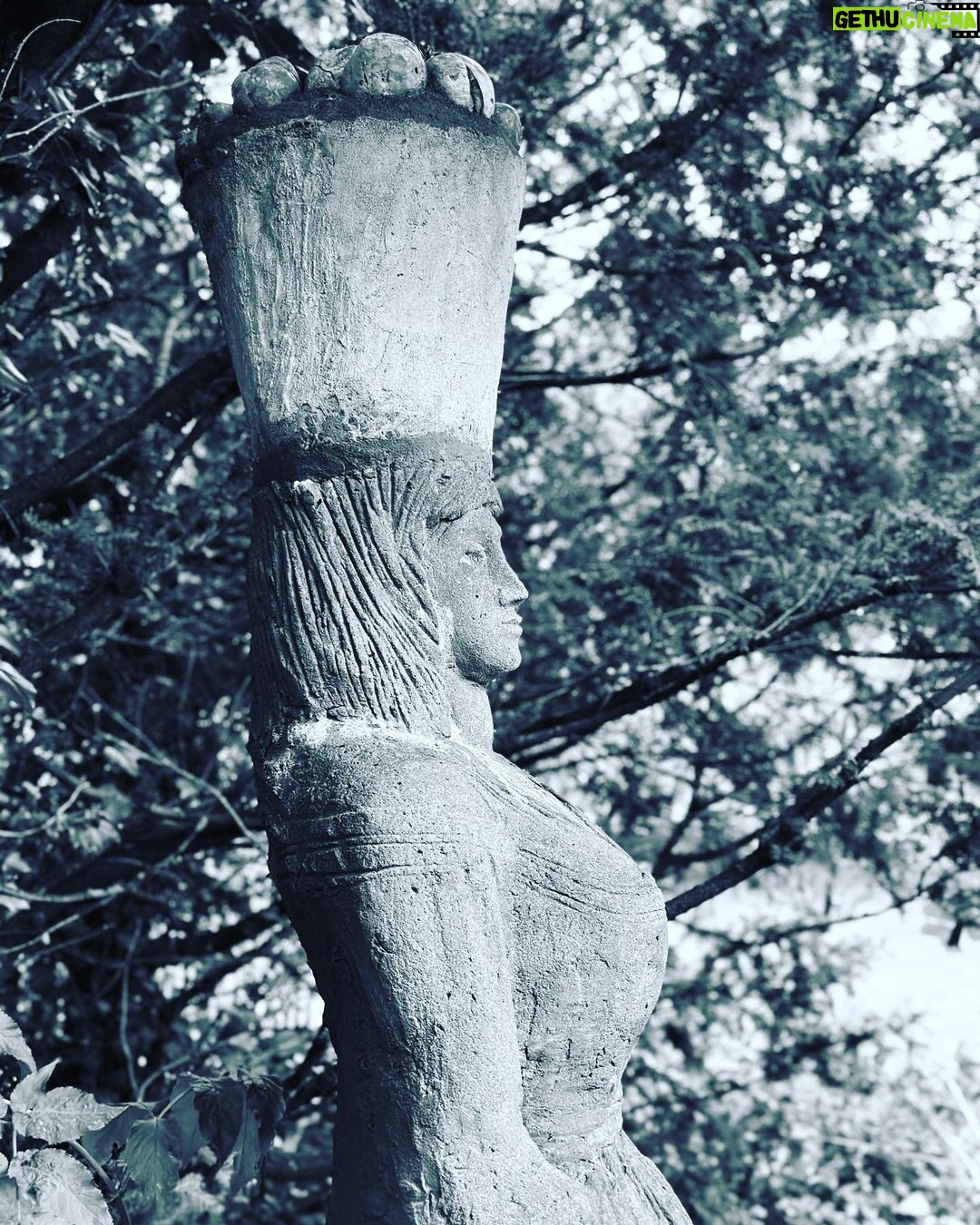 Louise Brealey Instagram - Small Wonder. A couple of days just for me, thinking about words. About Katherine Mansfield. About Kafka. This morning I watched the dawn break through the window of my friends’ hut and I listened to the birds come alive again. Thank you @charlestontrust, @sineadgleeson, Tessa Hadley, Kathryn Hunter.