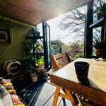 Louise Brealey Instagram – In Lockdown we made a den under the house for reading and writing. I painted the walls apple green like Milly Molly Mandy’s attic, found a table in a skip, bought grass wallpaper made of actual grass for the ceiling. I filled it with ferns, cacti, fleshy succulents with leaves like ear lobes & the spoils from thirty years of car-boot sales.
These include an old postcard of the Pantheon (Shepherds Bush), an embroidery of an owl in a birch tree (Toronto), a 1956 painting of a basket of fruit (NYC), an Automatic Steriliser (Bristol) and the belly of a crocodile (Wellingborough).
The ceiling is only 5’7” high in here (I’m little, so I’m alright, Jack) but there’s a day-bed with cushions and blankets and it faces west so the Spring sun has found me. Last winter the old doors fell off and the foxes came to camp. Today, a whiff of Sadolin from the new doors, and the sound of London’s birds singing in the Spring and the sun down, over the hill and far away. Gilb, seldom one to miss a shot at a sunbathe, is in seventh heaven. We have reached peak Sunday.
